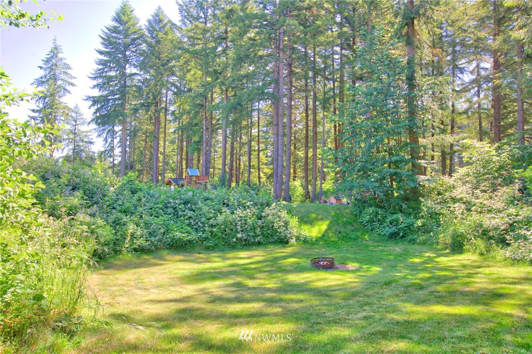 16734 Littlerock Road Southwest Rochester, WA 98579 - Photo 24 of 25