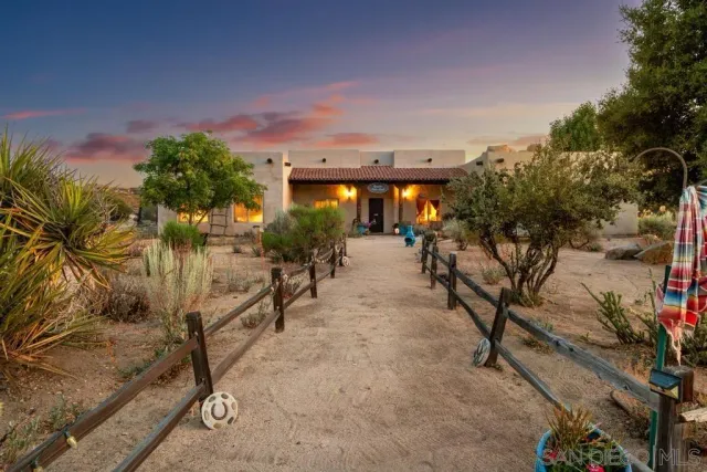 a view of a yard with plants