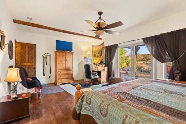 a view of a yard with plants and tree