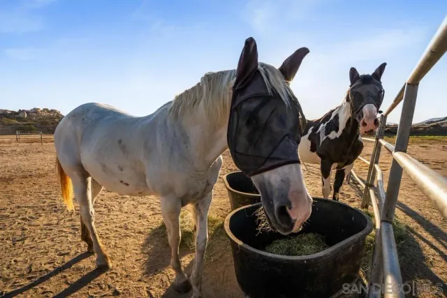 a room with gym equipment and a flat screen tv