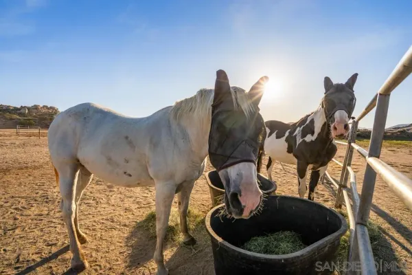 $899,000 | 40760 Old Highway 80, Boulevard, CA 91905