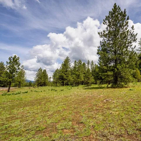 $500,000 | Lot 22 To Be Determined, Unit 22, McCall, ID 83638