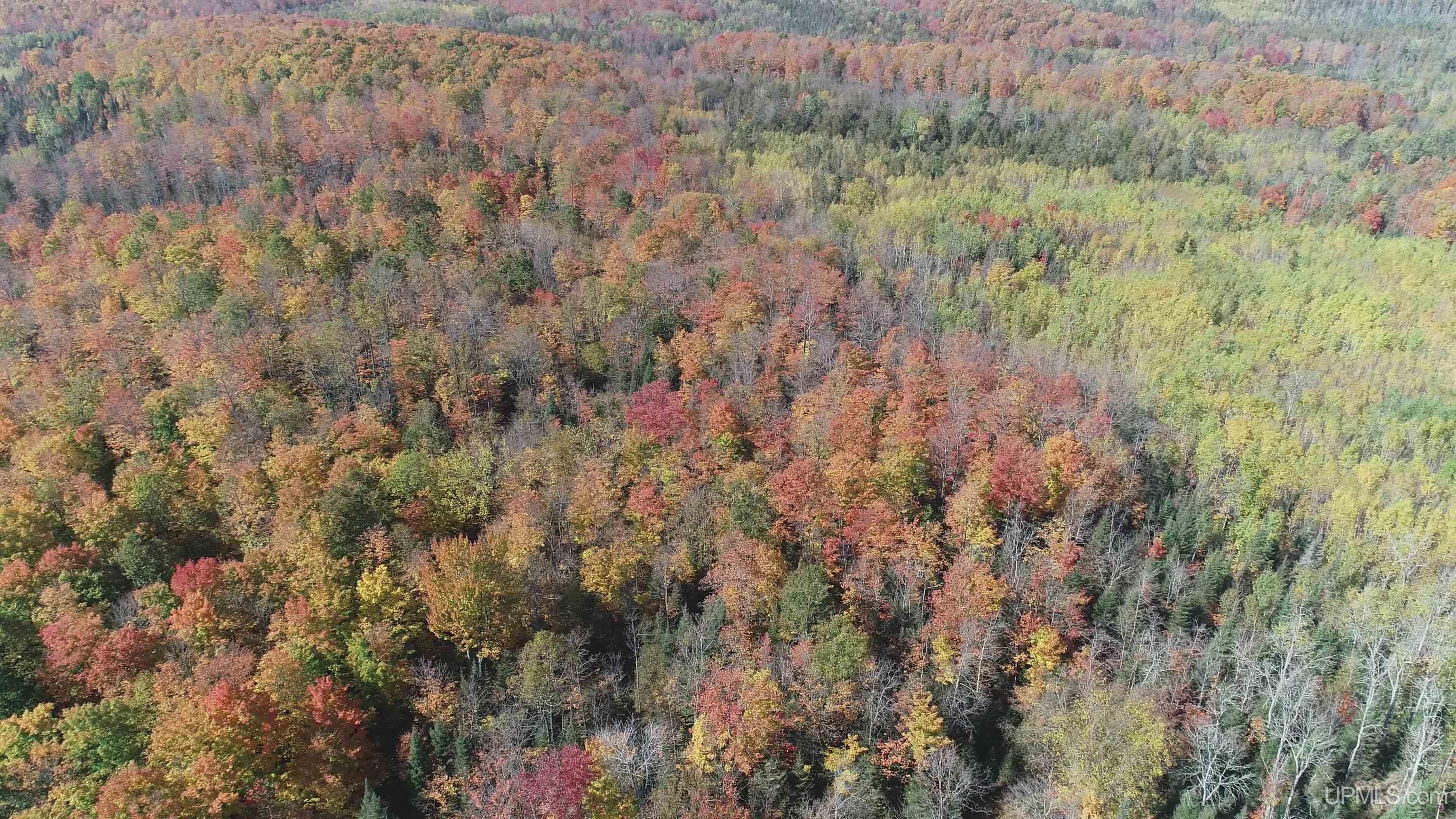 40-acres Mattson Road Felch, MI 49831 - Photo 37 of 45 Gallery Image 37