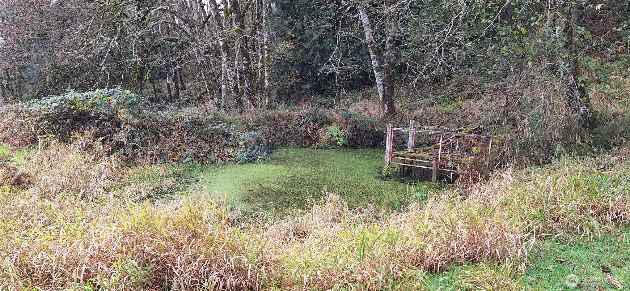 2768 Old Highway 603 Winlock, WA 98596 - Photo 30 of 35