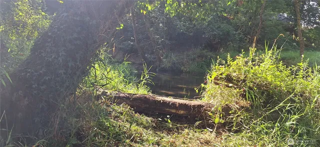 $489,000 | 2768 Old Highway 603, Winlock, WA 98596