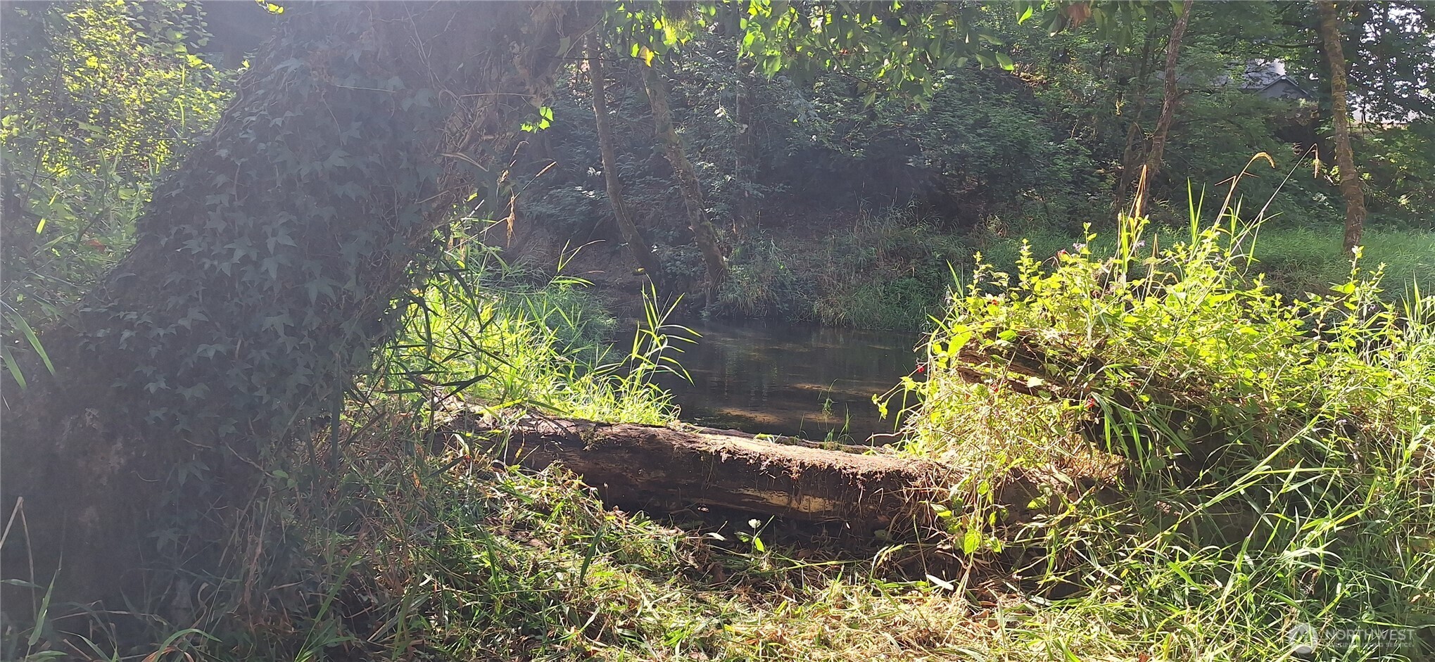 2768 Old Highway 603 Winlock, WA 98596 - Photo 32 of 35