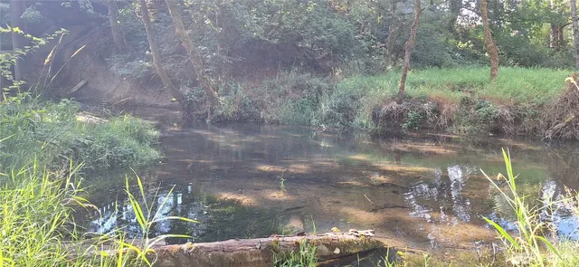 $489,000 | 2768 Old Highway 603, Winlock, WA 98596