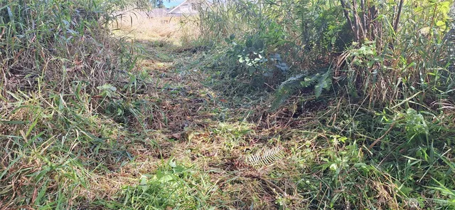 $489,000 | 2768 Old Highway 603, Winlock, WA 98596