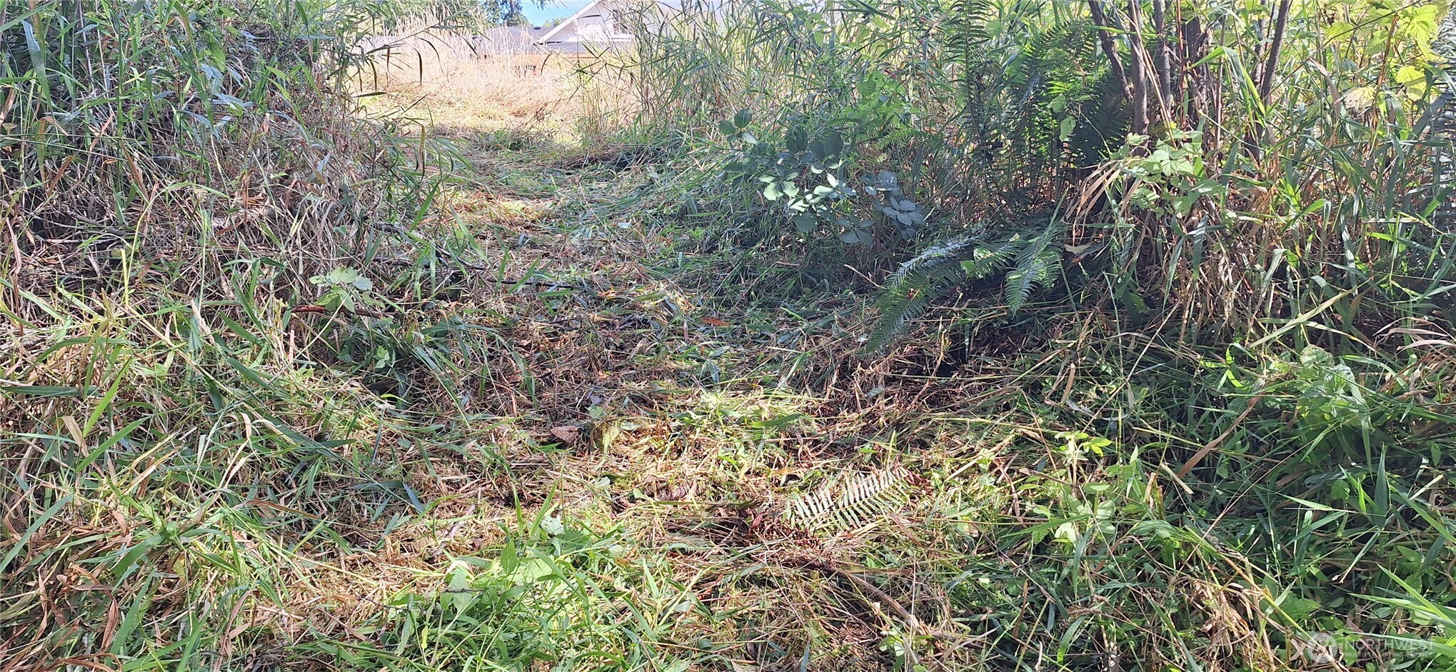 2768 Old Highway 603 Winlock, WA 98596 - Photo 34 of 35