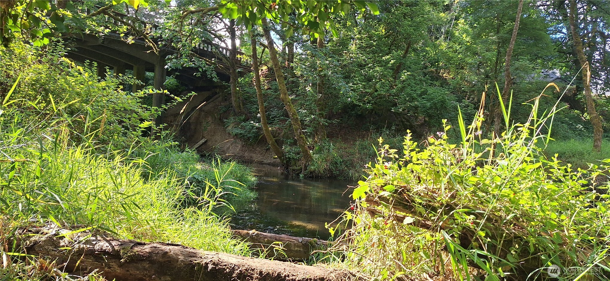 2768 Old Highway 603 Winlock, WA 98596 - Photo 35 of 35