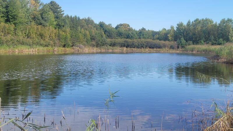 Lt9 Lt9 Radar Road Marinette, WI 54143 - Photo 9 of 15 20220921_090259