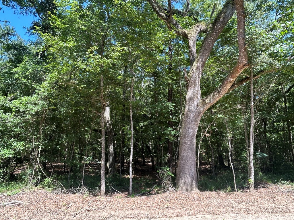 19.16-ac 19.16-ac Ramer Loop Cottonwood, AL 36320 - Photo 14 of 34