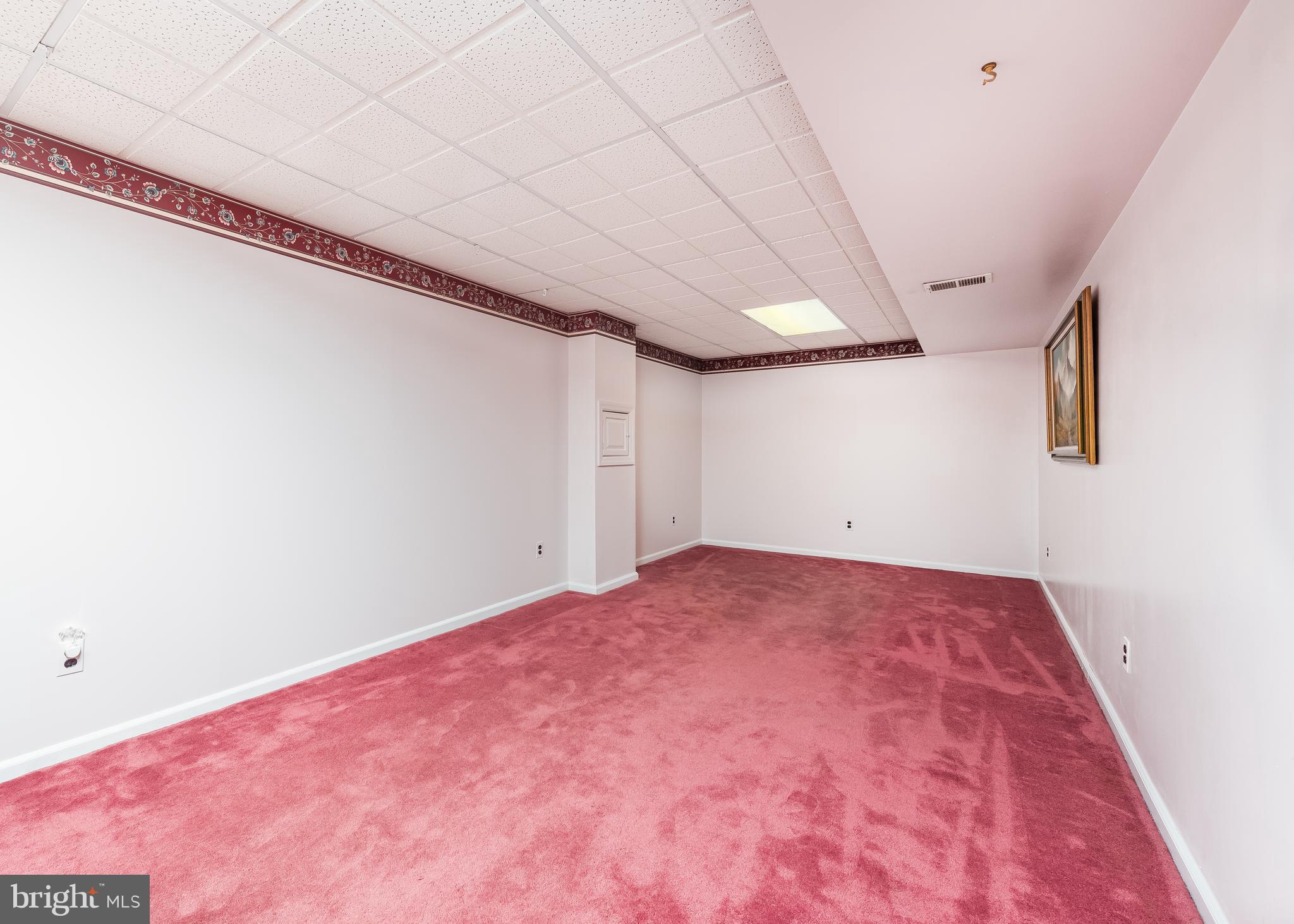 9502 Red Rain Path Columbia, MD 21046 - Photo 21 of 29 Basement Clubroom