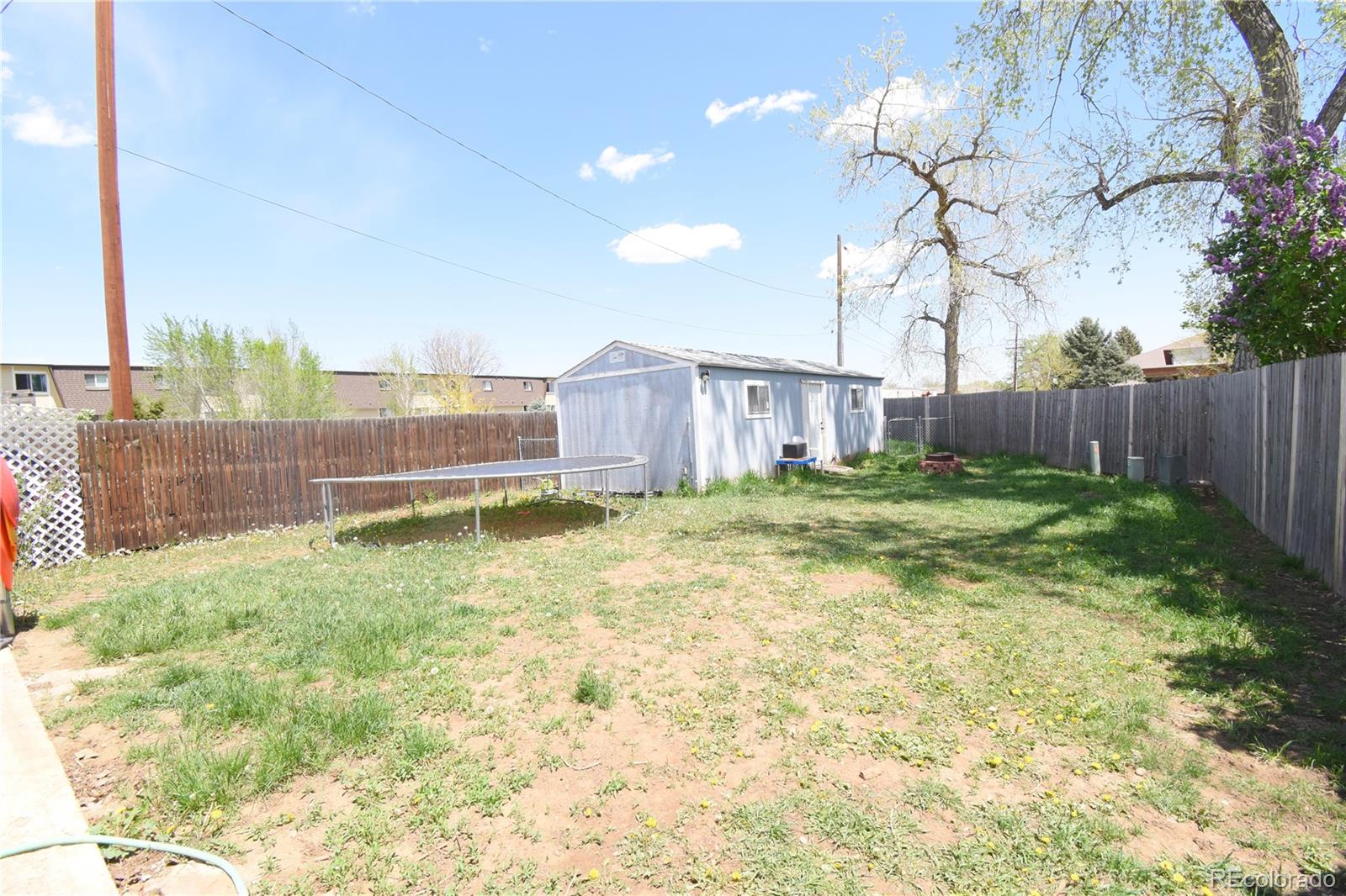 4470 Lee Street Wheat Ridge, CO 80033 - Photo 20 of 23 Gallery Image 20