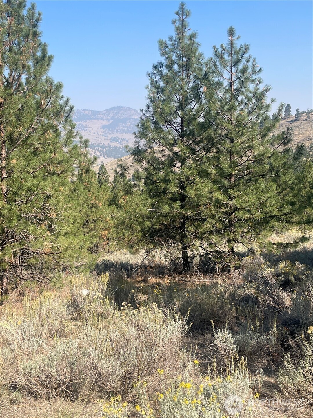 -tbd Reevas Basin Road Tonasket, WA 98855 - Photo 23 of 38