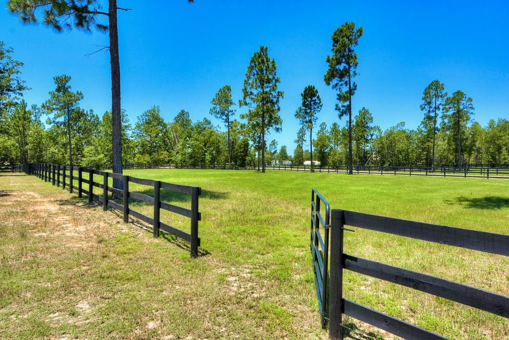 396 Whipper-In Trail Aiken, SC 29803 - Photo 15 of 21