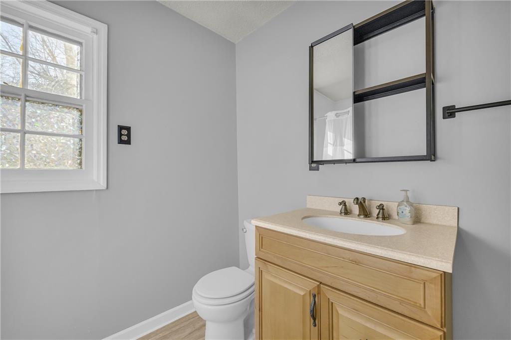 1019 White Hill School Road Commerce, GA 30529 - Photo 49 of 53 a bathroom with a sink toilet and a mirror