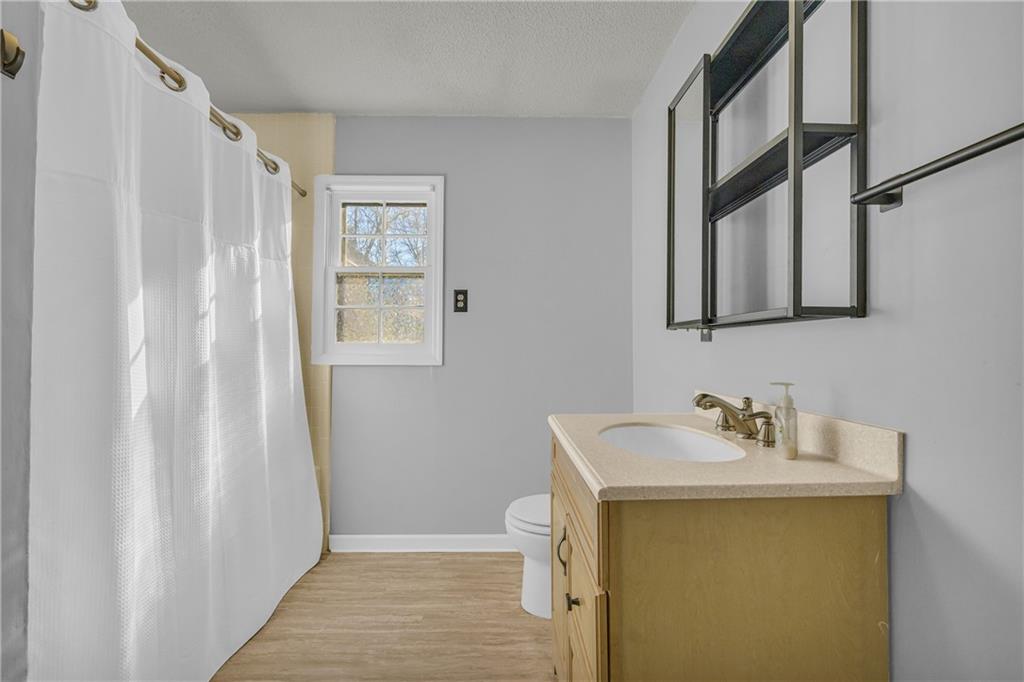 1019 White Hill School Road Commerce, GA 30529 - Photo 50 of 53 a bathroom with a sink and mirror with toilet