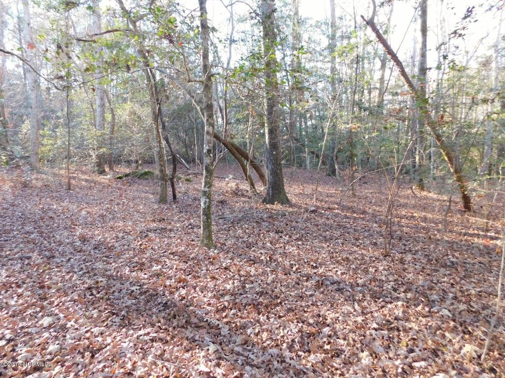 26.89 Bynum Farm Road Pinetops, NC 27864 - Photo 31 of 43 31 (1024x768)