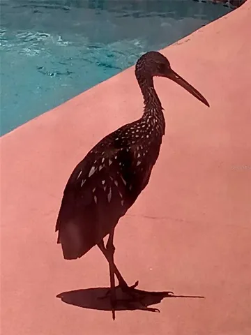 $409,900 | 3001 Eden Mills Drive, Sarasota, FL 34237