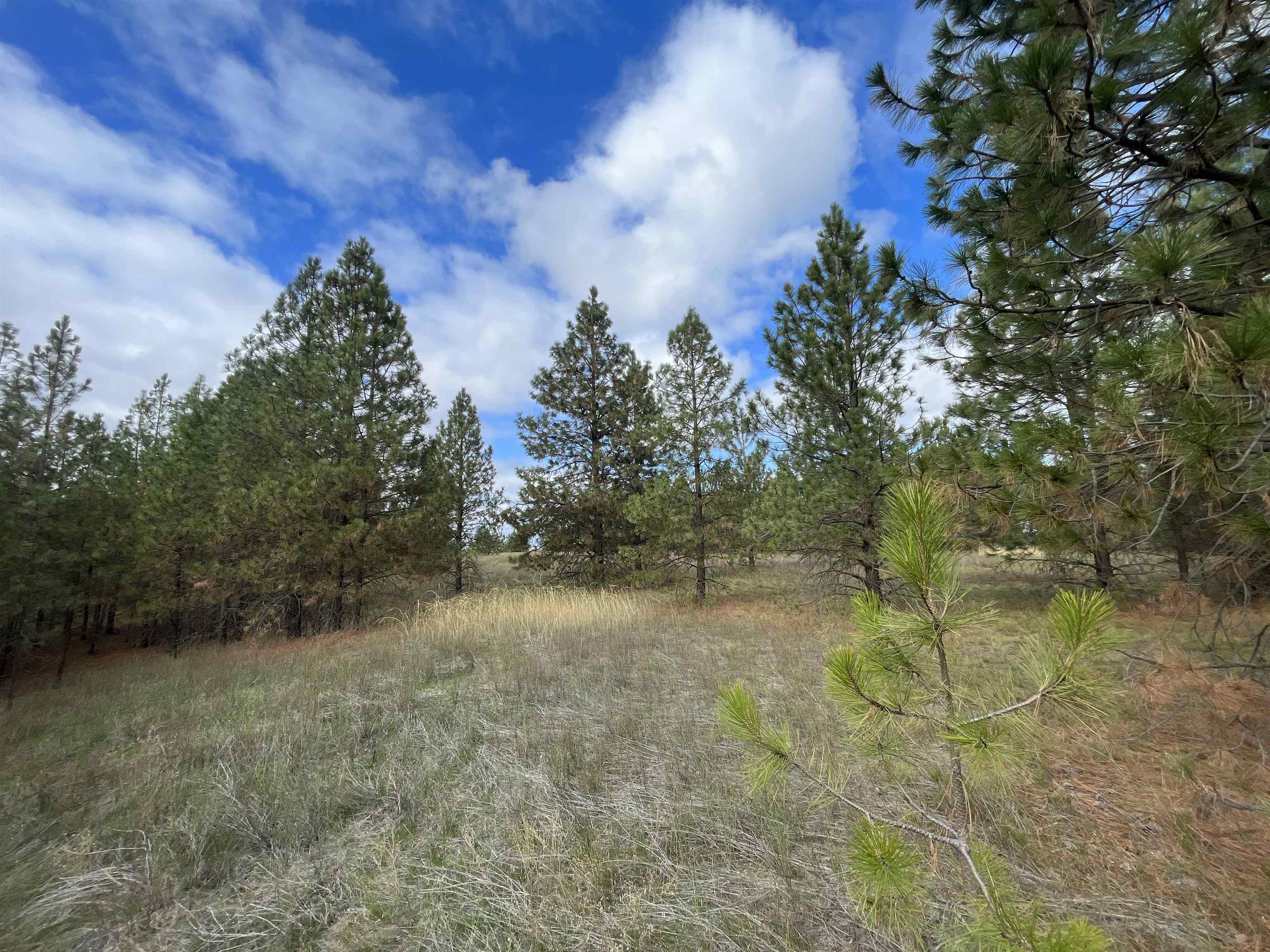 5273 South Dorset Road, Unit APPROXIMATE Spokane, WA 99224 - Photo 11 of 17