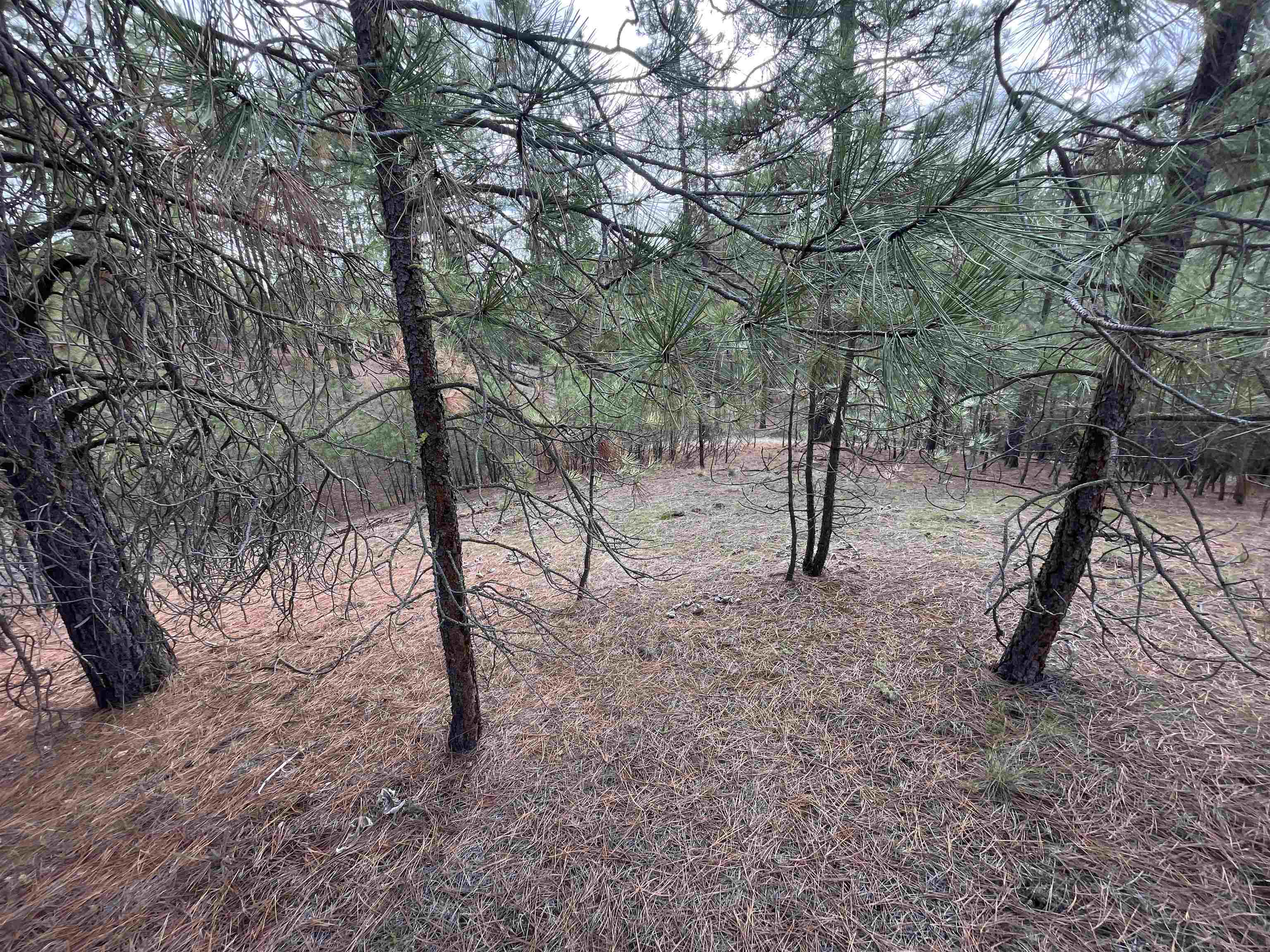 5273 South Dorset Road, Unit APPROXIMATE Spokane, WA 99224 - Photo 12 of 17