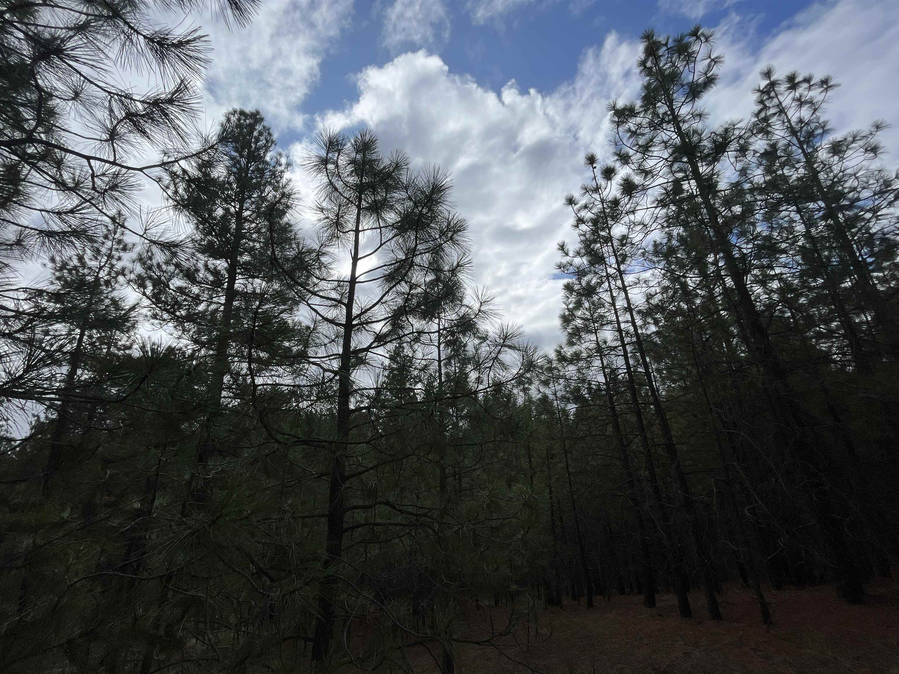 5273 South Dorset Road, Unit APPROXIMATE Spokane, WA 99224 - Photo 14 of 17