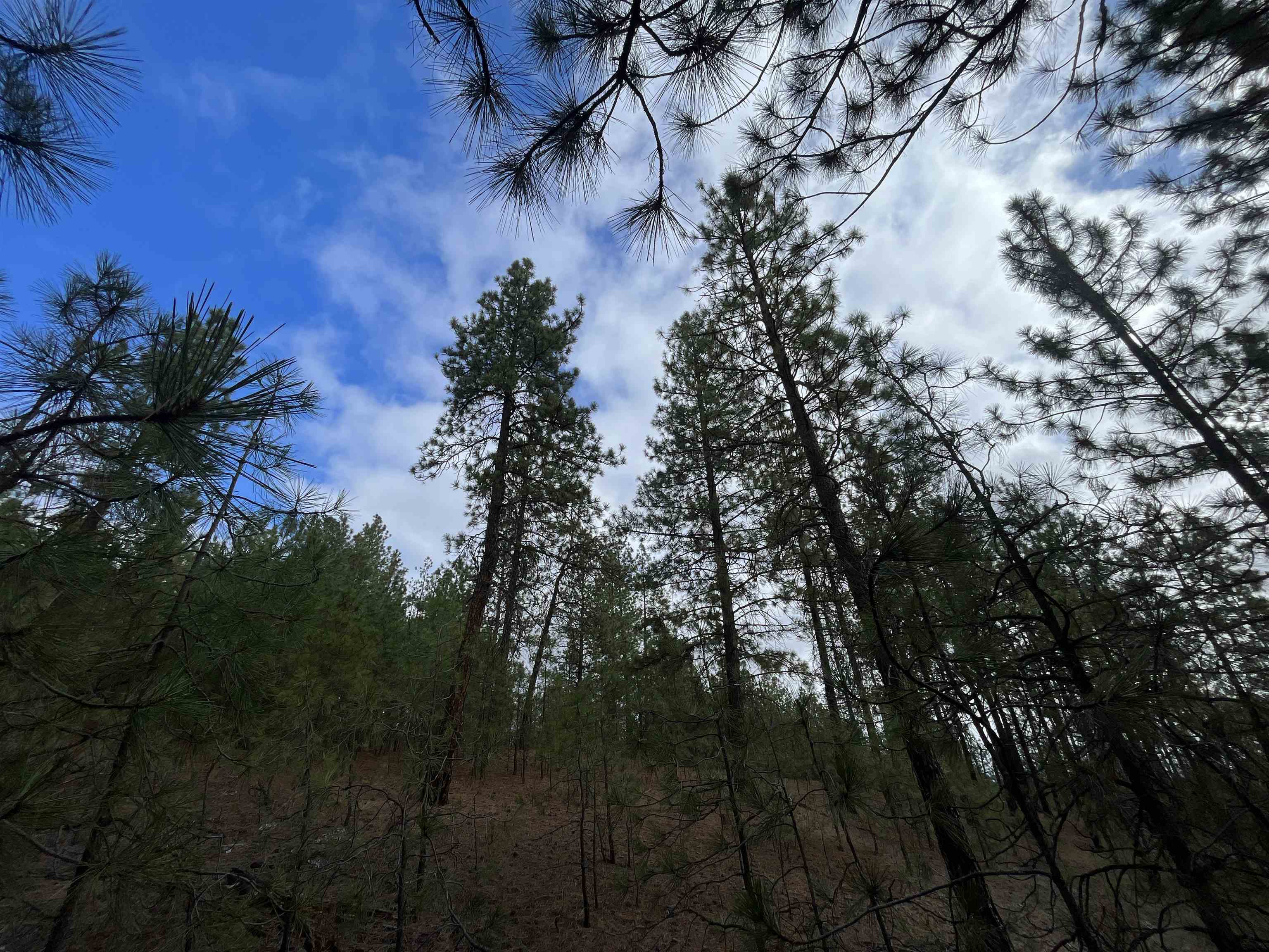 5273 South Dorset Road, Unit APPROXIMATE Spokane, WA 99224 - Photo 15 of 17