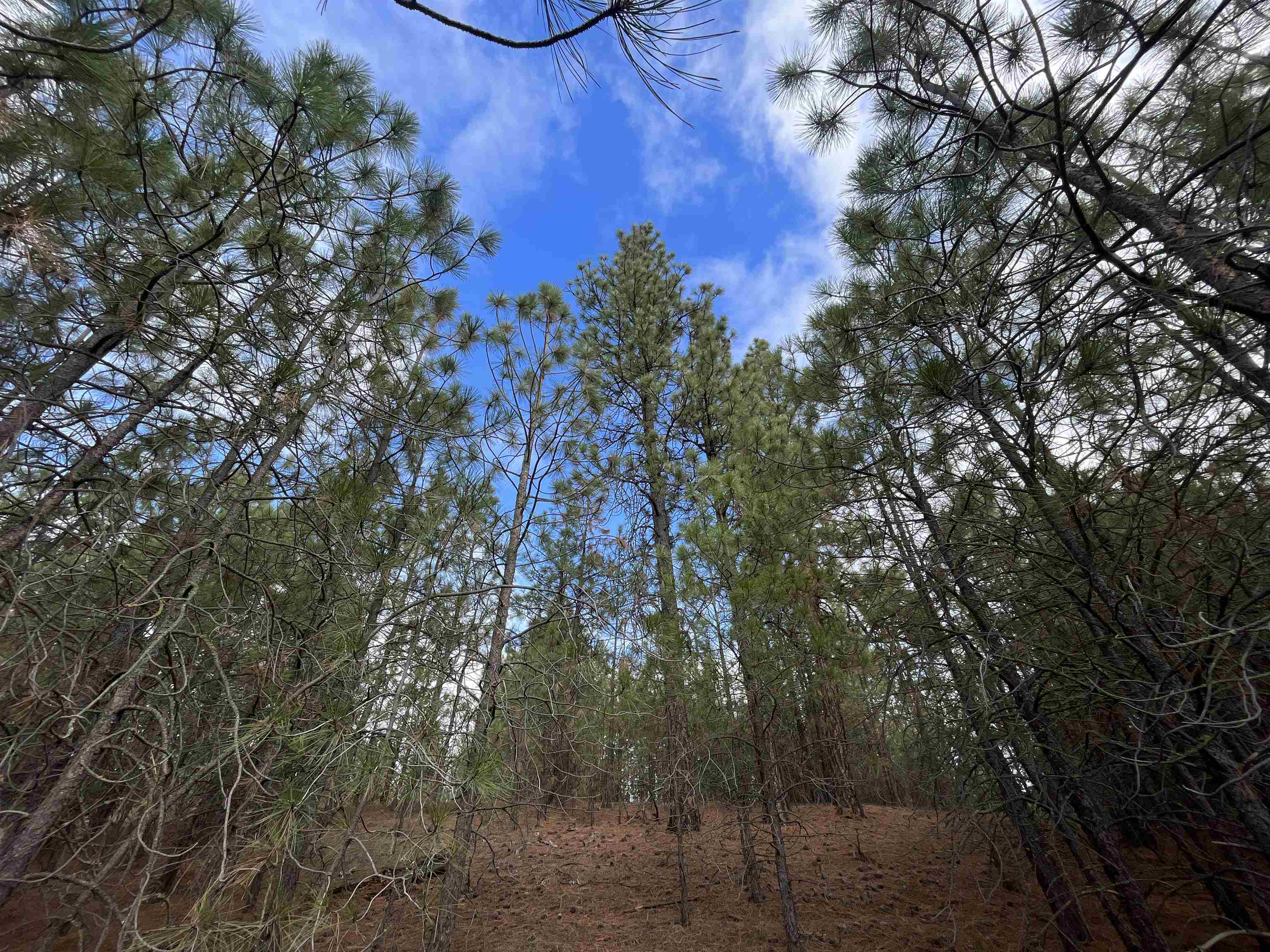 5273 South Dorset Road, Unit APPROXIMATE Spokane, WA 99224 - Photo 16 of 17