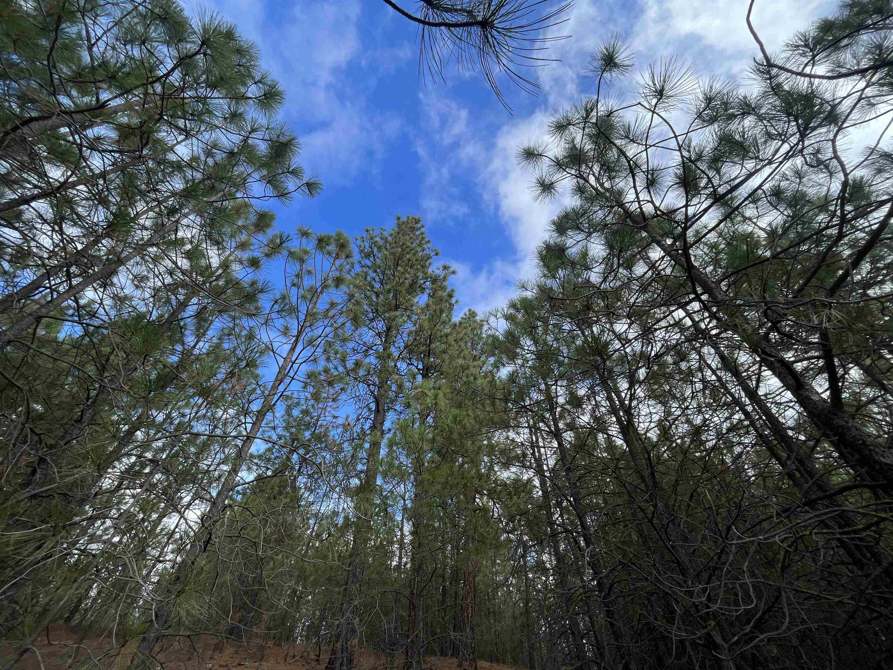 5273 South Dorset Road, Unit APPROXIMATE Spokane, WA 99224 - Photo 17 of 17