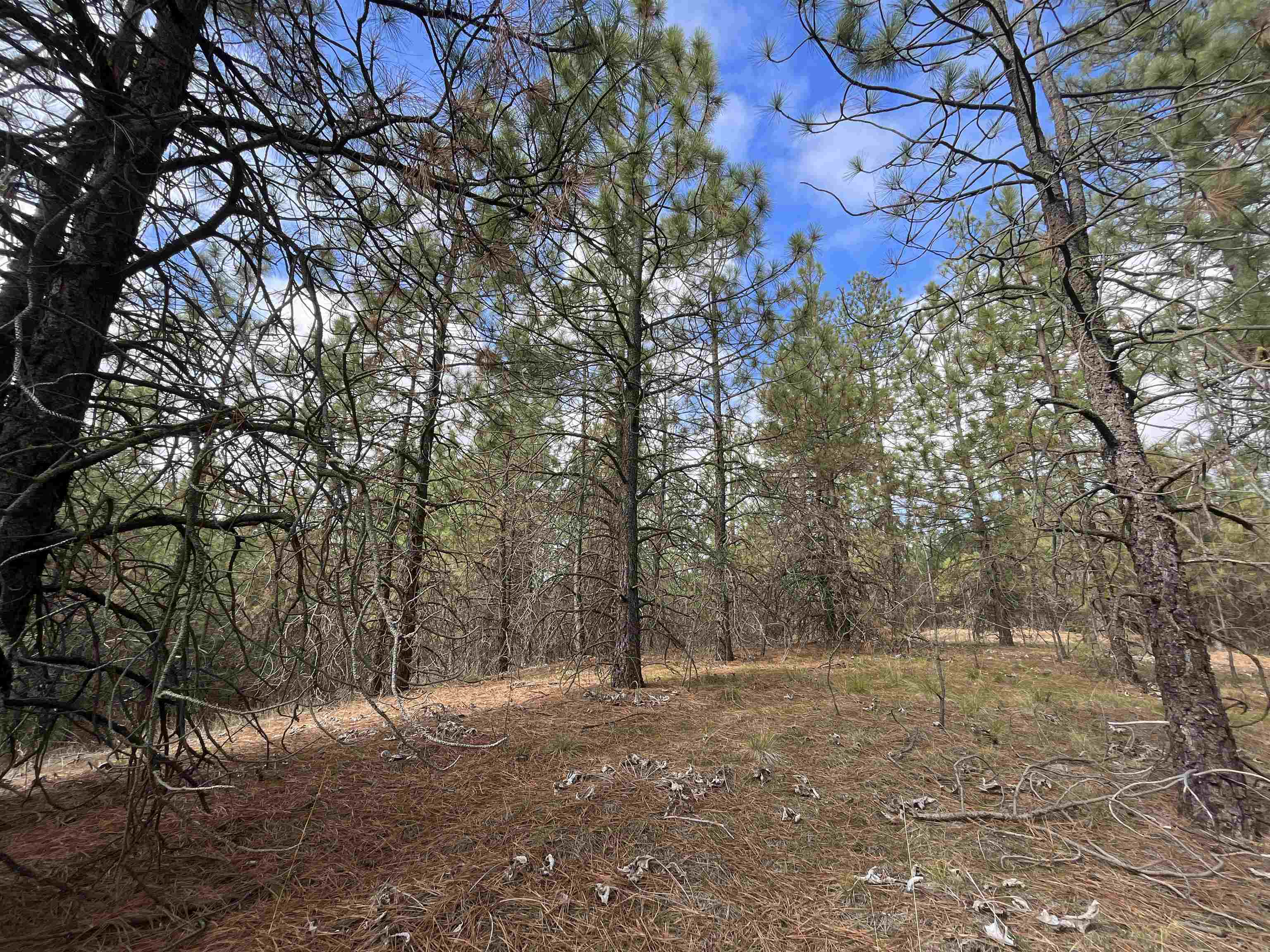 5273 South Dorset Road, Unit APPROXIMATE Spokane, WA 99224 - Photo 3 of 17