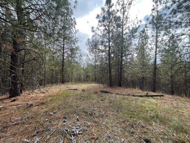 5273 South Dorset Road, Unit APPROXIMATE Spokane, WA 99224 - Photo 5 of 17