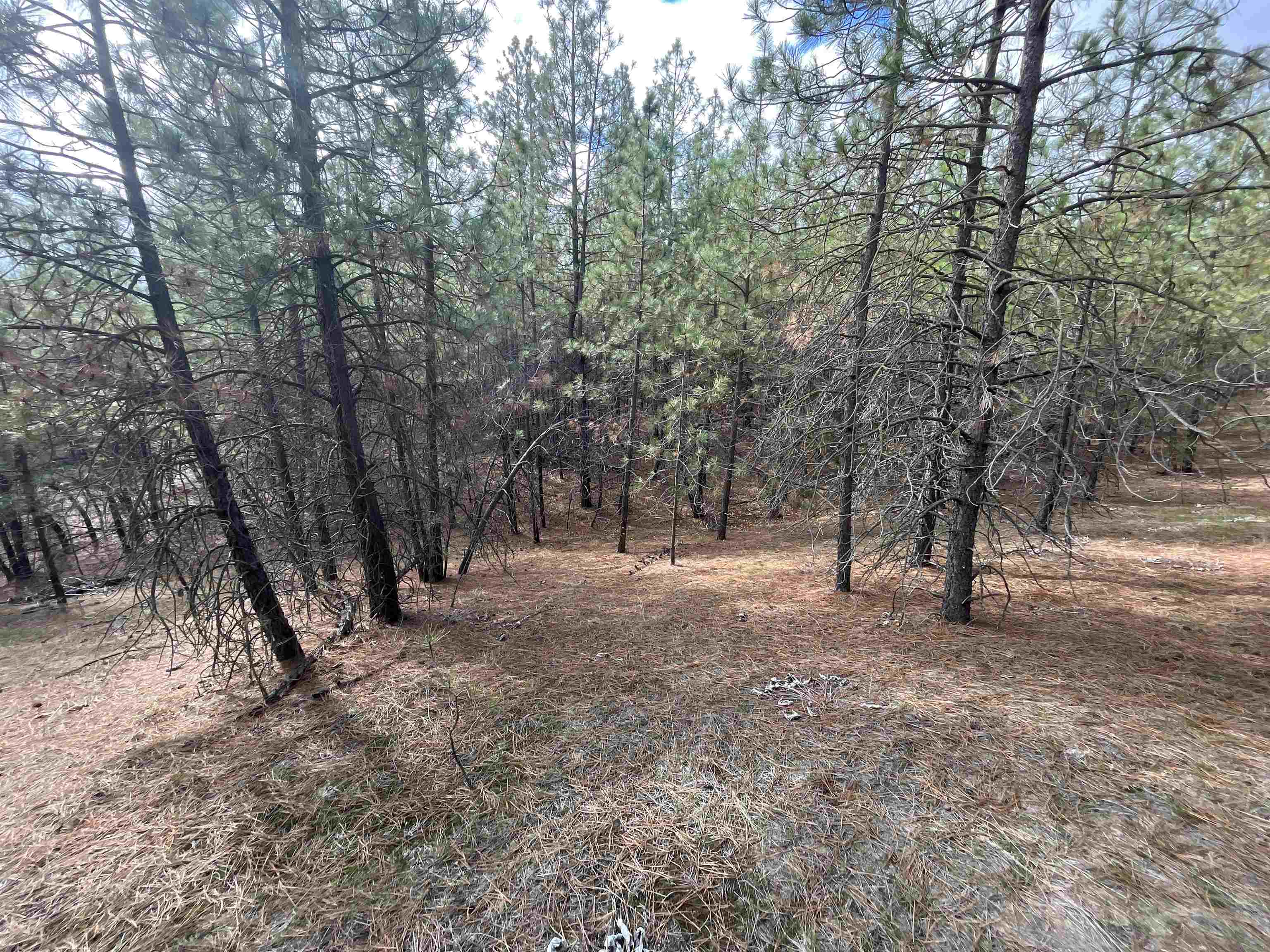 5273 South Dorset Road, Unit APPROXIMATE Spokane, WA 99224 - Photo 6 of 17