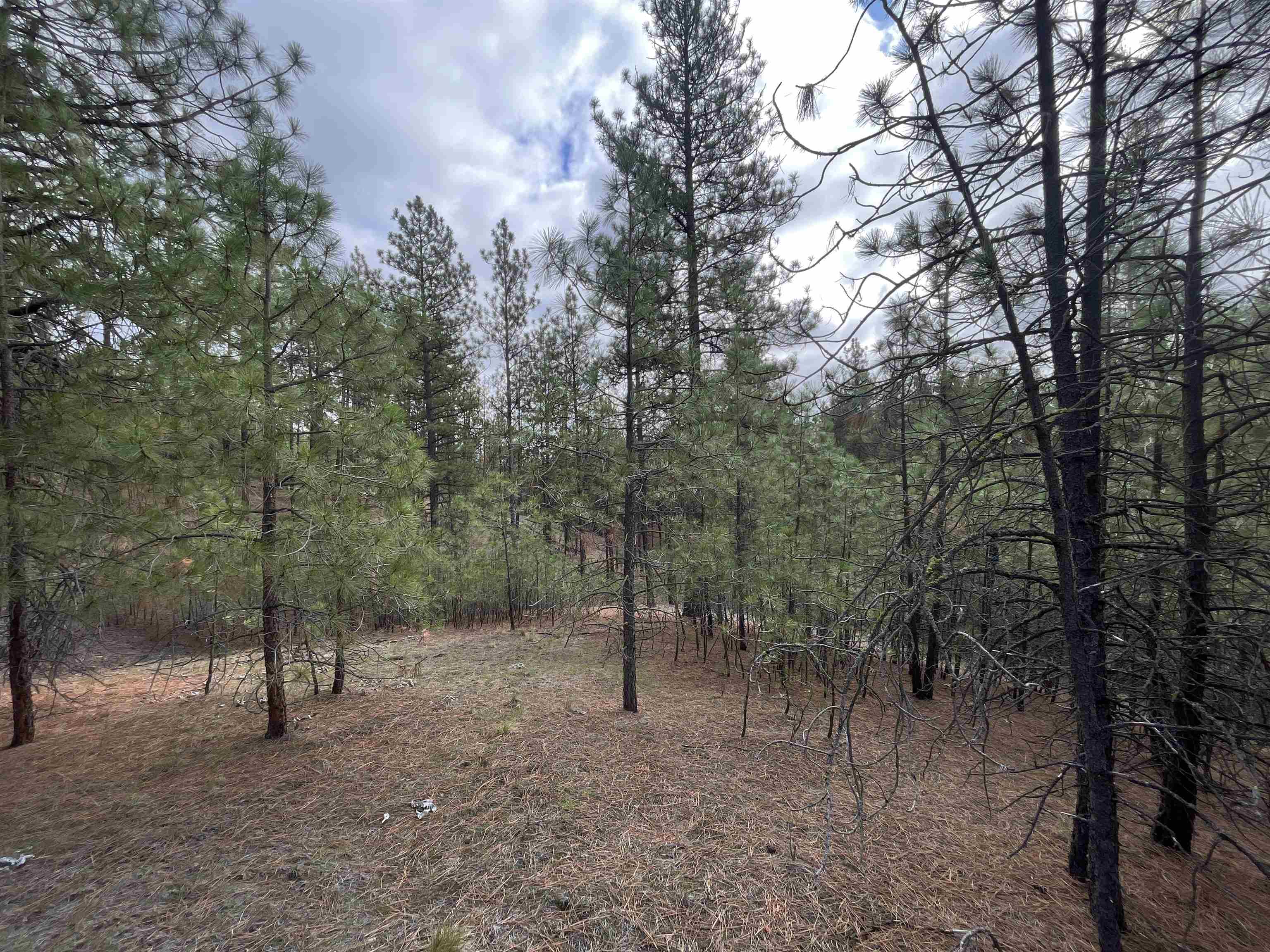 5273 South Dorset Road, Unit APPROXIMATE Spokane, WA 99224 - Photo 7 of 17