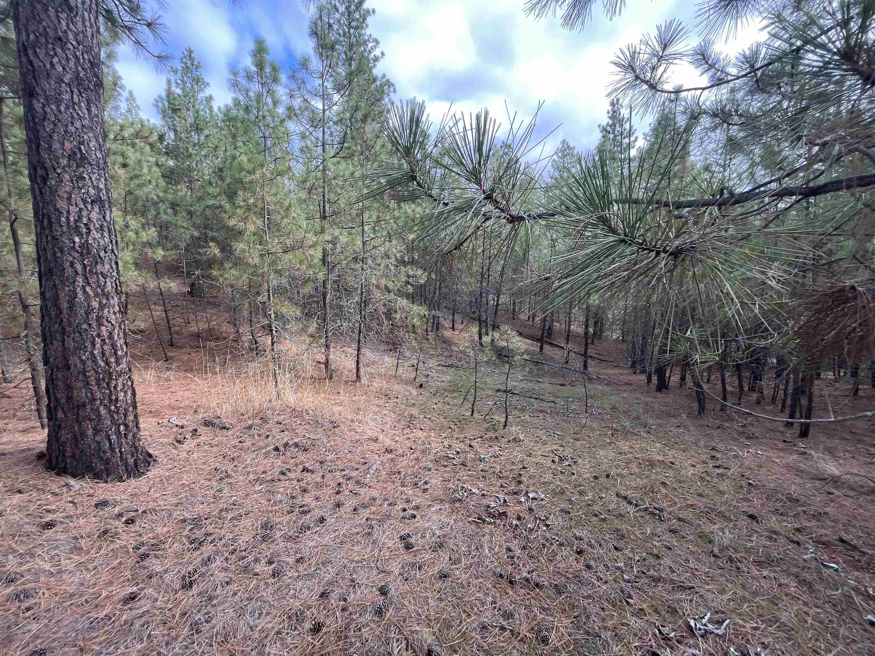 5273 South Dorset Road, Unit APPROXIMATE Spokane, WA 99224 - Photo 8 of 17