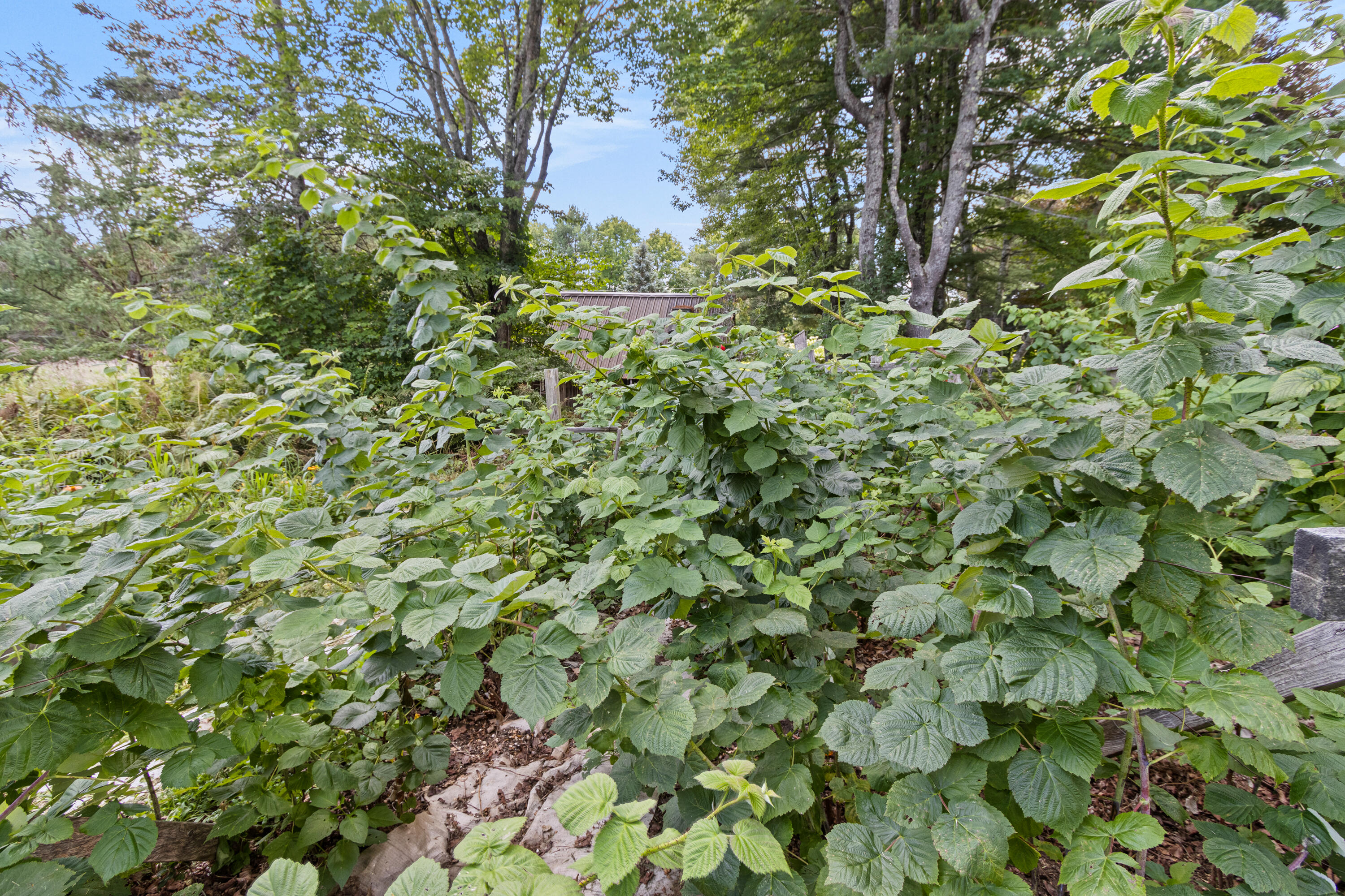 71 Turmel Road Jay, ME 04239 - Photo 74 of 111 20260825MV-21086