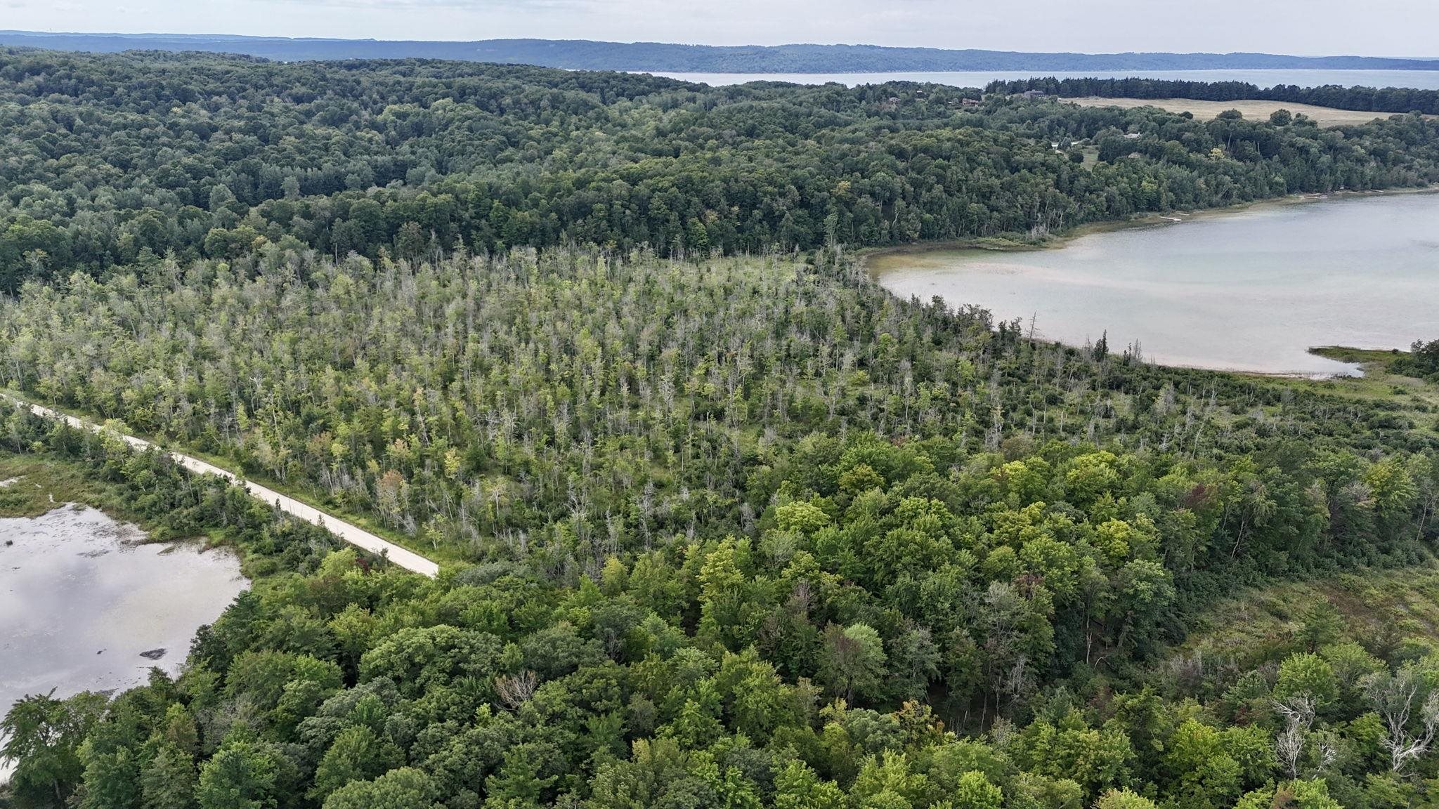 Parcel C Cooper Road Beulah, MI 49640 - Photo 3 of 10