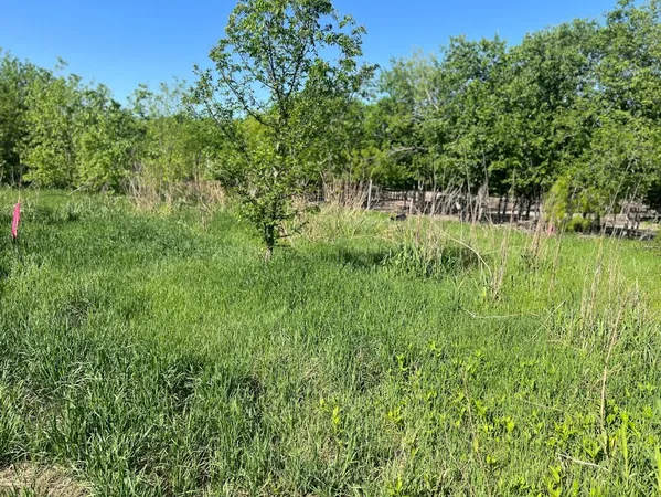 $48,000 | W Brook St(lot #2-bk 72) West W Brook, Bartlett, TX 76511