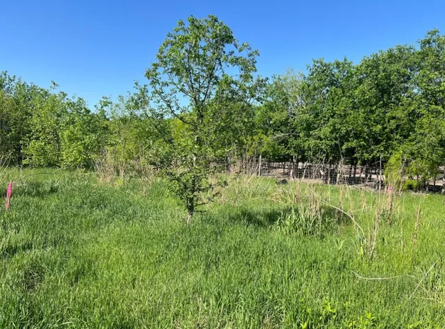 a aerial view of a house with a yard