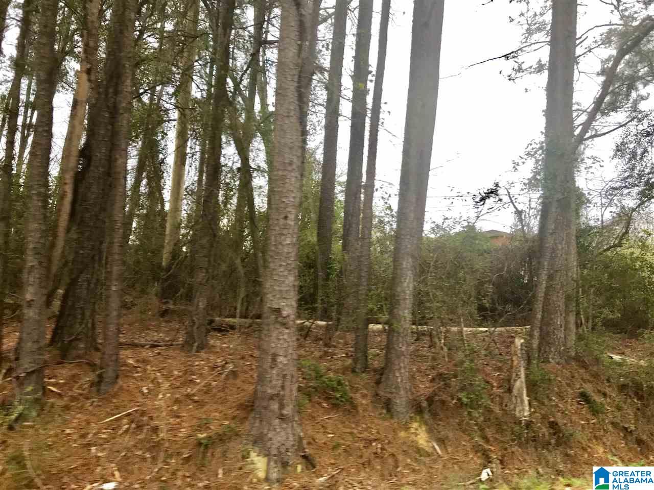 0 Cave Road, Unit LOT 3 AND 4 Anniston, AL 36206 - Photo 4 of 6