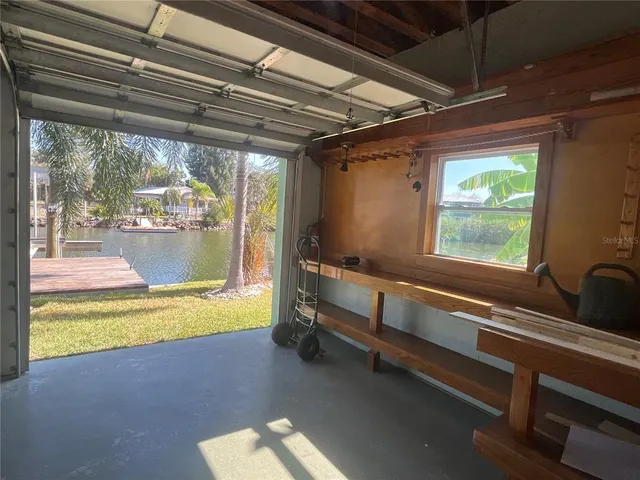 a view of a park with plants and trees