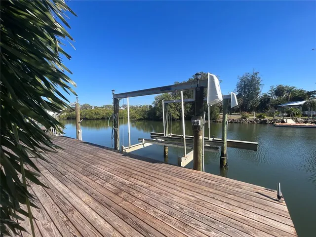 a view of a yard with plants and large trees