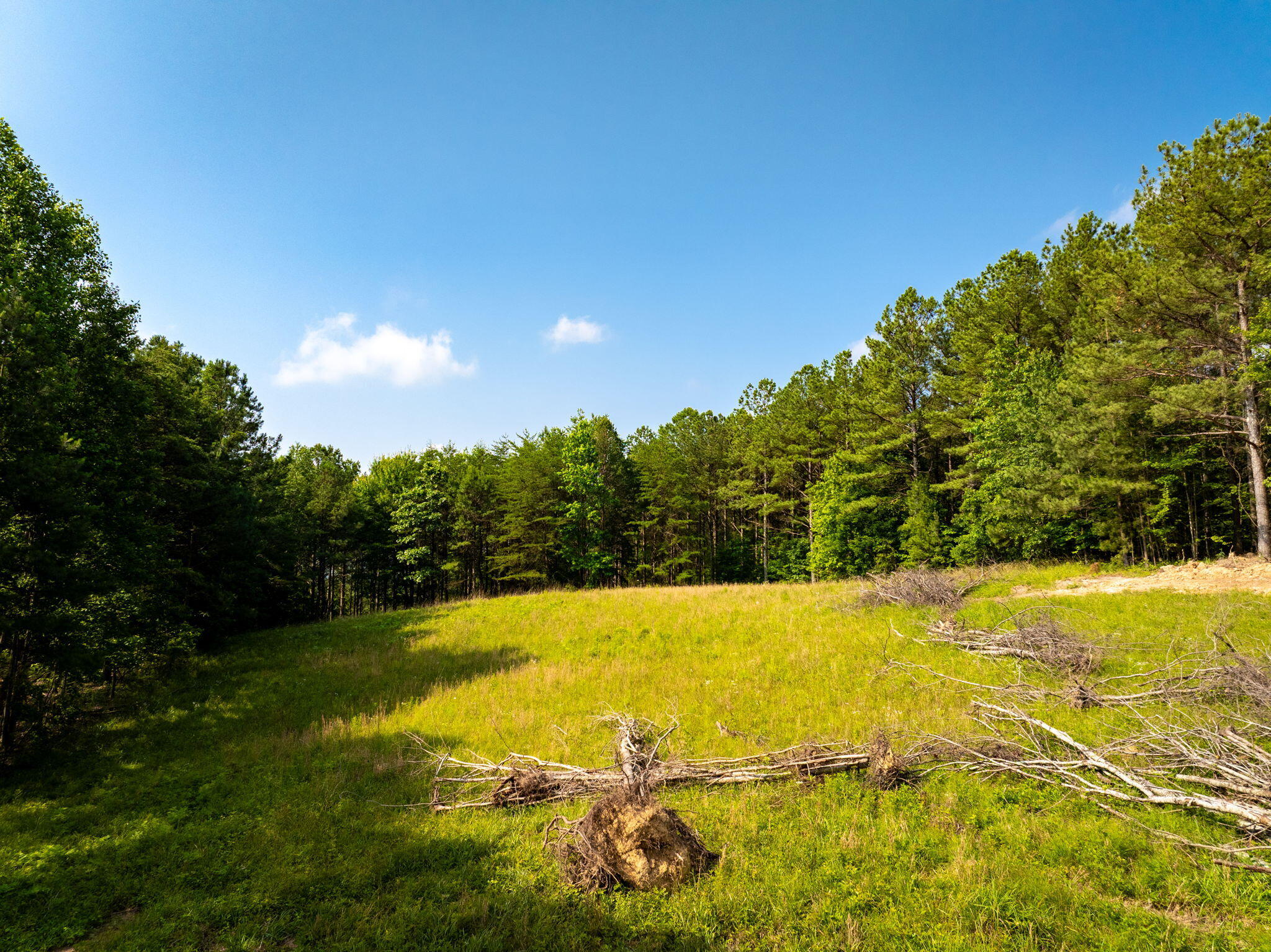 0 Split Rail Way, Unit LOT 1379 Guild, TN 37340 - Photo 11 of 30 11-web-or-mls-DJI_20250604072404_0821_D-