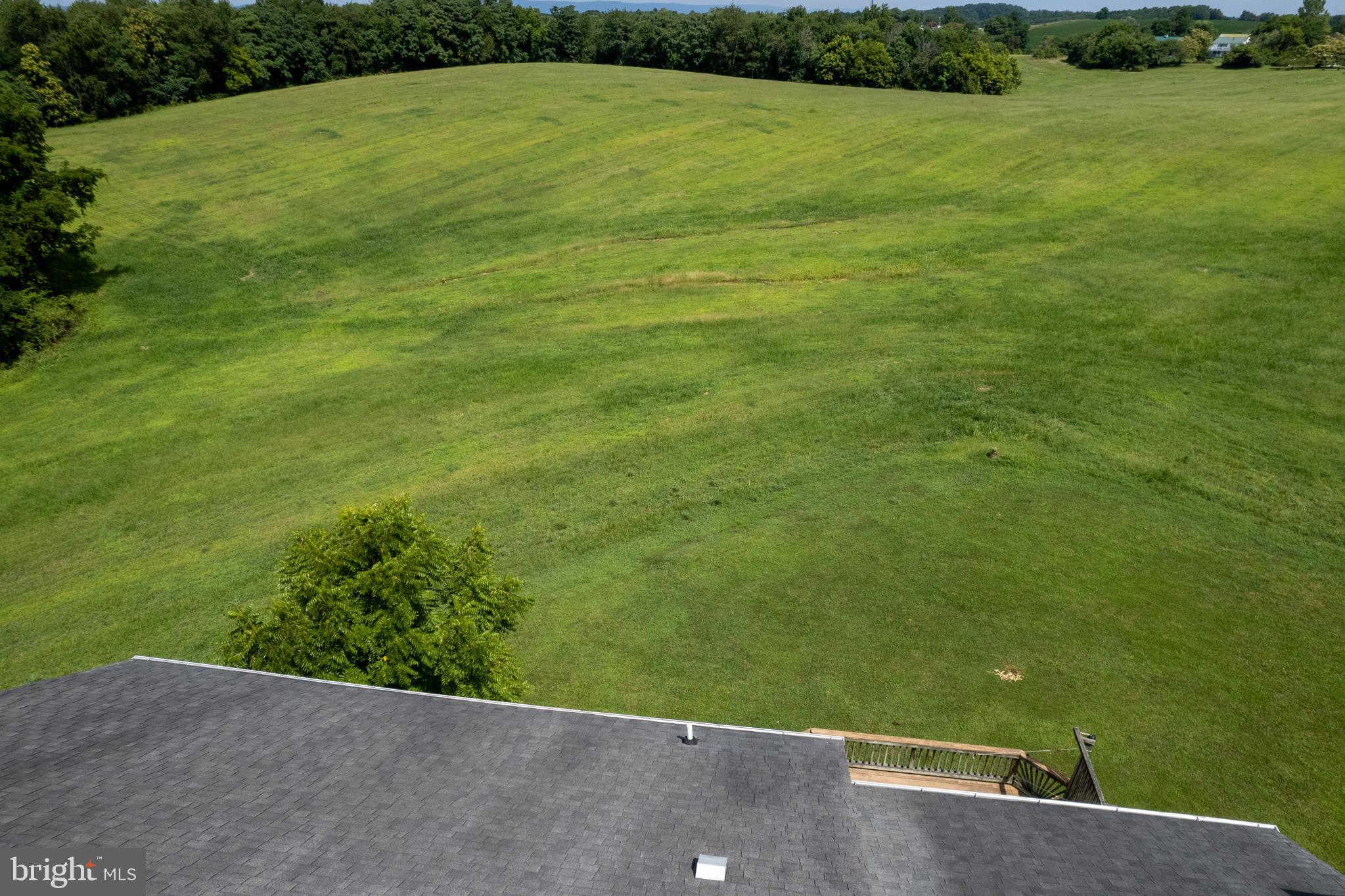 3356 Park Mills Road Frederick, MD 21704 - Photo 73 of 80 a view of a big yard with lots of green space