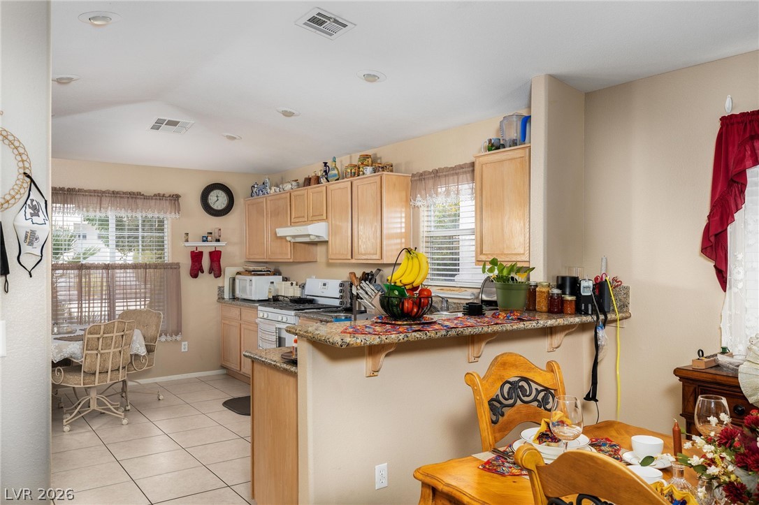 1563 Raining Hills Street Henderson, NV 89052 - Photo 3 of 24