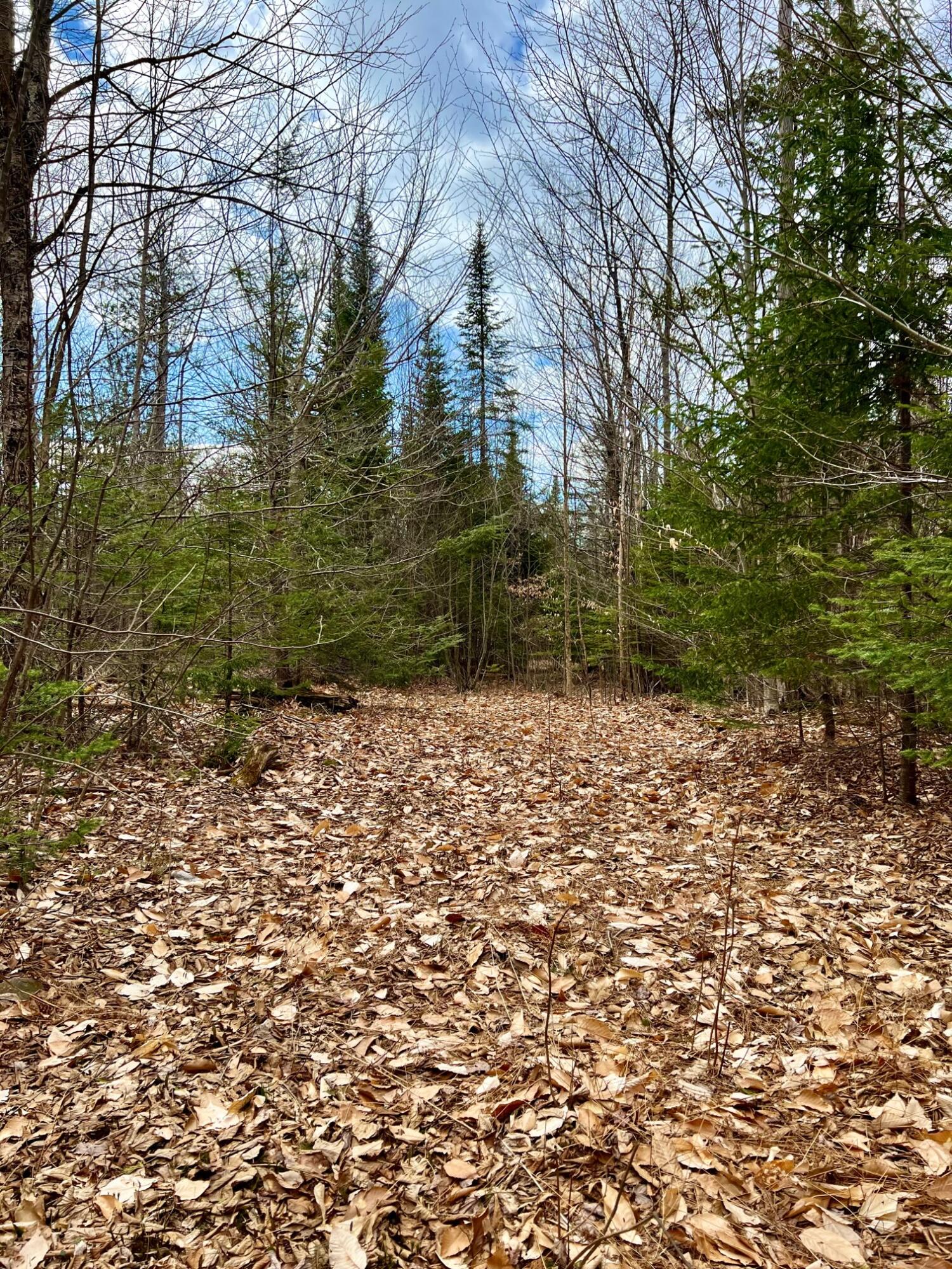 156 Bailey Road Industry, ME 04938 - Photo 4 of 13 IMG_7162