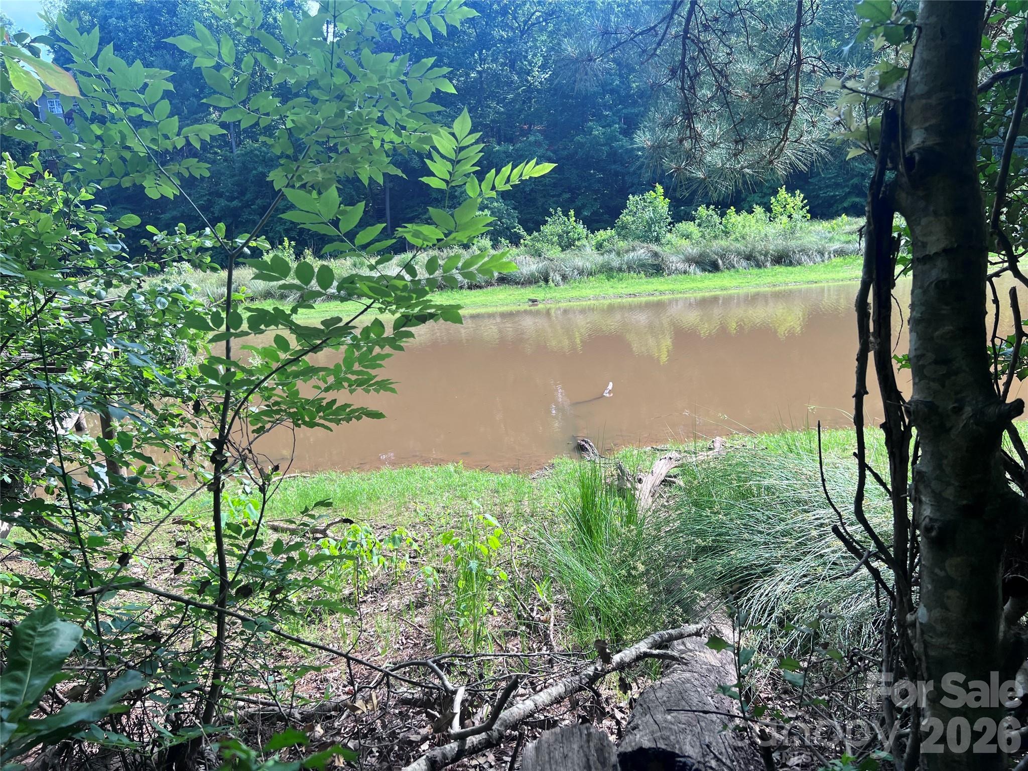 a view of a lake with a lake