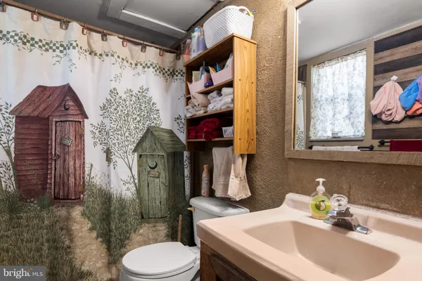 a bathroom with a sink a toilet and shower curtain