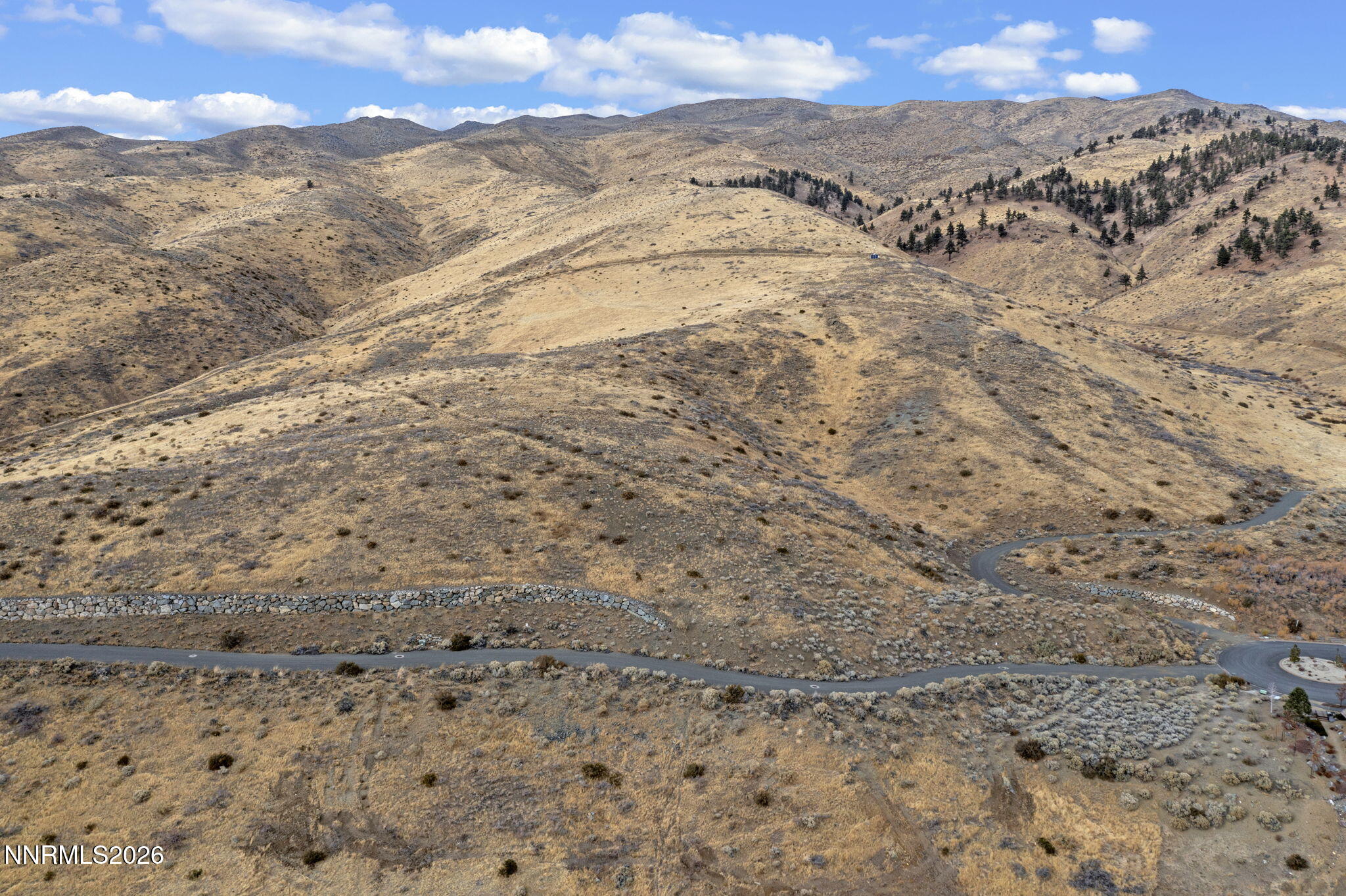 0 Painted River Trail Reno, NV 89523 - Photo 8 of 18 a view of a dry yard with mountains in the background