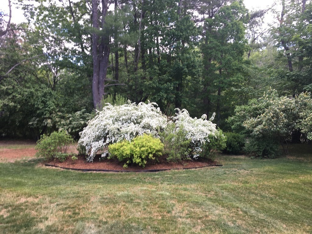 25 Patten Road Westford, MA 01886 - Photo 28 of 35 Gallery Image 28